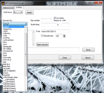 DP FastVideoConvert screenshot 2