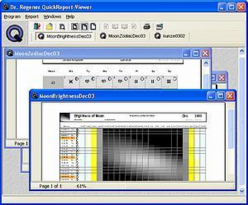 Dr. Regener QuickReport Viewer screenshot 2