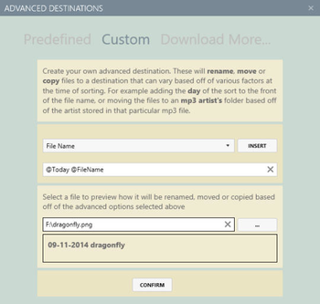 Dragonfly File Sorter screenshot 2
