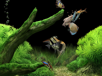 Dream Aquarium Screensaver screenshot