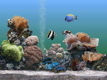 Dream Aquarium Screensaver screenshot 3