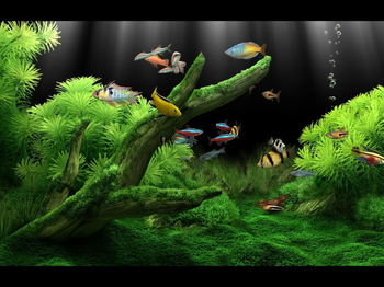 Dream Aquarium Screensaver screenshot 6