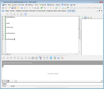 DreamCoder for MySQL Enterprise screenshot