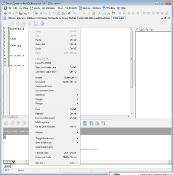 DreamCoder for MySQL Enterprise screenshot 2