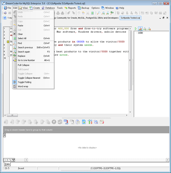 DreamCoder for MySQL Free Edition screenshot 3