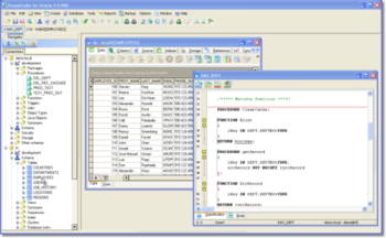 DreamCoder for Oracle Enterprise Edition screenshot