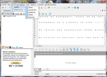 DreamCoder for PostgreSQL Enterprise screenshot 3