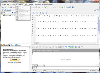 DreamCoder for PostgreSQL Enterprise screenshot 4