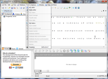DreamCoder for PostgreSQL Enterprise screenshot 5