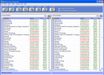 DSH Directory and File comparator screenshot