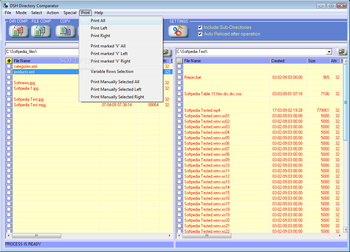 DSH Directory Comparator screenshot 6