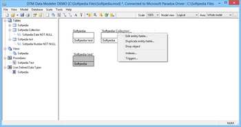 DTM Data Modeler screenshot