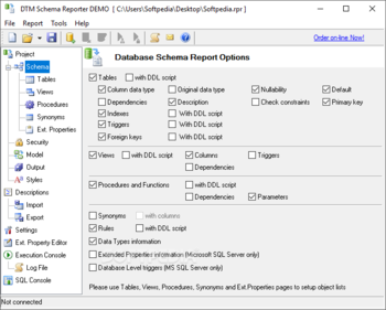 DTM Schema Reporter screenshot