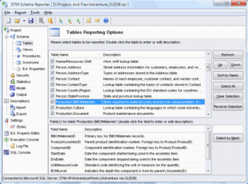 DTM Schema Reporter Professional screenshot