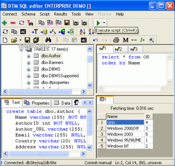DTM SQL editor screenshot 2