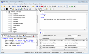 DTM SQL editor screenshot 3