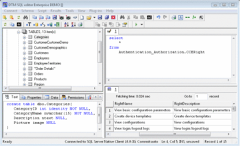 DTM SQL editor Enterprise screenshot