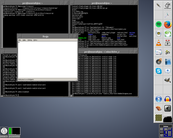 Dubbeldiagnos screenshot