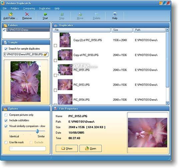 Duplicatch screenshot 3