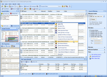 Duplicate File Detective screenshot 2