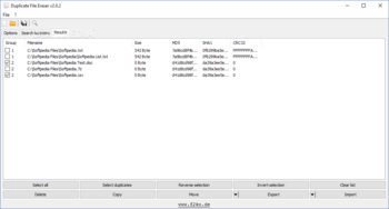 Duplicate File Eraser screenshot 3