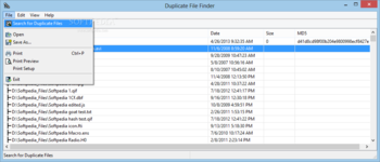 Duplicate File Finder Portable screenshot 2