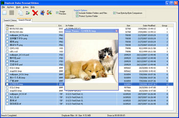 Duplicate Radar Business Edition screenshot