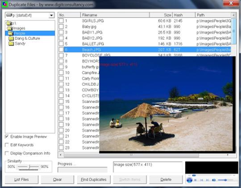 DuplicateFiles screenshot