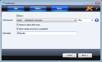 DVDCoach Express screenshot 3