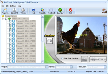 dvdXsoft DVD Ripper screenshot