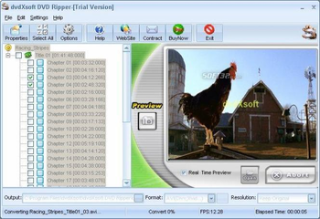 dvdXsoft DVD Ripper screenshot 2