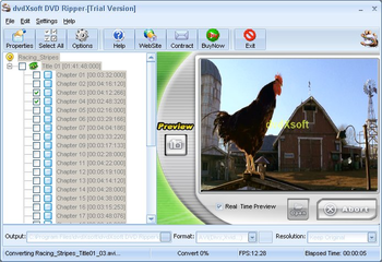 dvdXsoft DVD Ripper screenshot 3