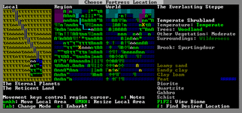 Dwarf Fortress screenshot 2