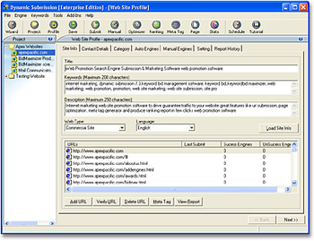 Dynamic Submission screenshot 2