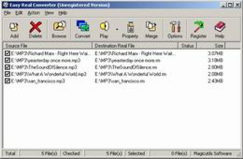 Ease Real Converter screenshot