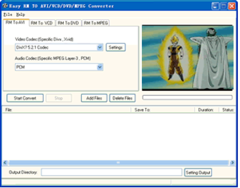 Easy AVI/VCD/DVD/MPEG Converter screenshot