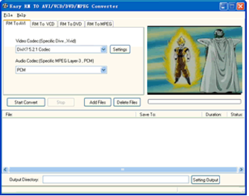 Easy AVI/VCD/DVD/MPEG Converter screenshot 2