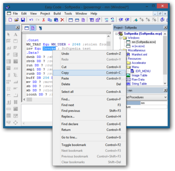 Easy Code for MASM screenshot 2