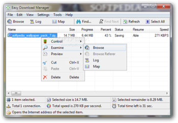 Easy Download Manager screenshot