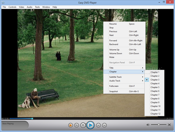 Easy DVD Player screenshot