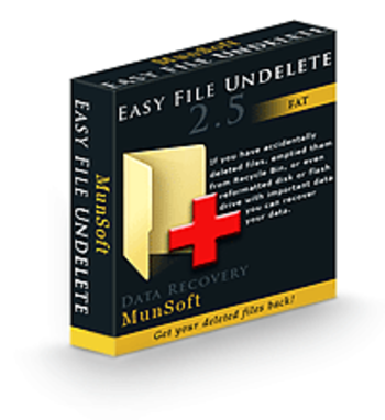 Easy FAT File Undelete Business License RU screenshot 2