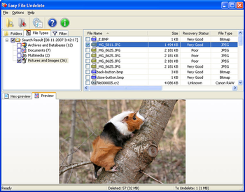 Easy FAT File Undelete screenshot 2