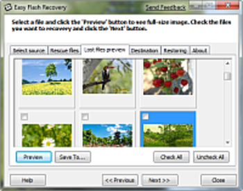 Easy Flash Recovery screenshot 2