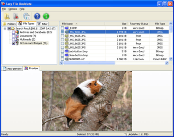 Easy NTFS File Undelete screenshot