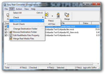 Easy Real Converter screenshot 3