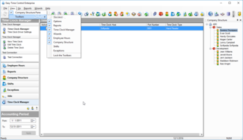 Easy Time Control Enterprise screenshot 9