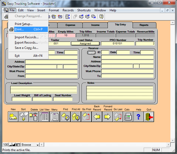 Easy Trucking Software screenshot 8