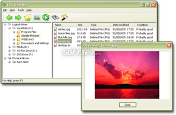 Easy Undelete screenshot 2