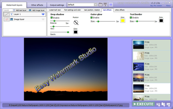 Easy Watermark Studio screenshot