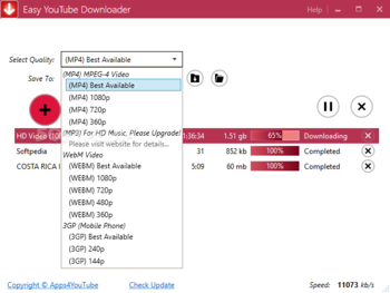 Easy YouTube Downloader screenshot 2